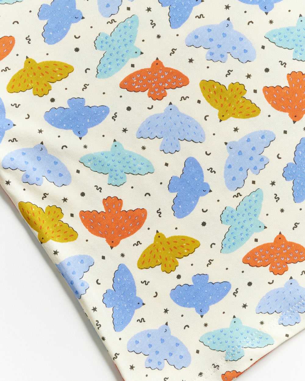 Not Too Big Birds Oversized Tee - Playground