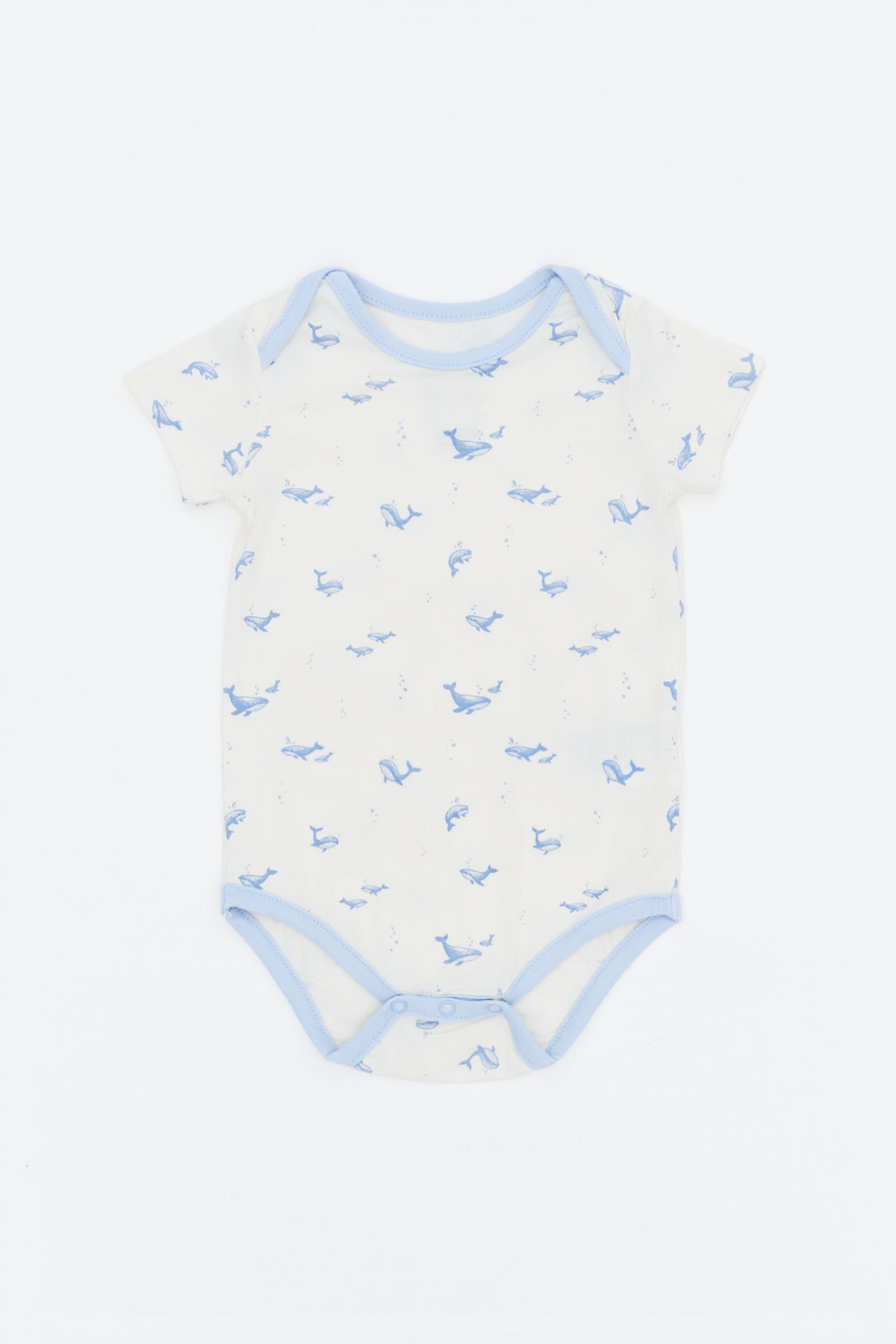 Not Too Big Whaley Bodysuit - 3 Pack