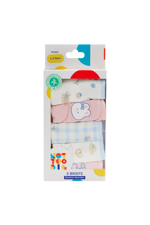 Picnic Brief - 5 Pack