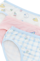 Picnic Brief - 5 Pack
