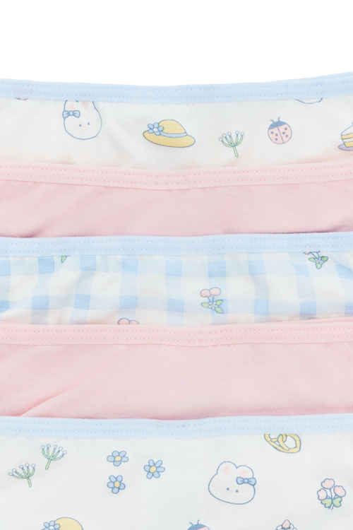 Picnic Brief - 5 Pack