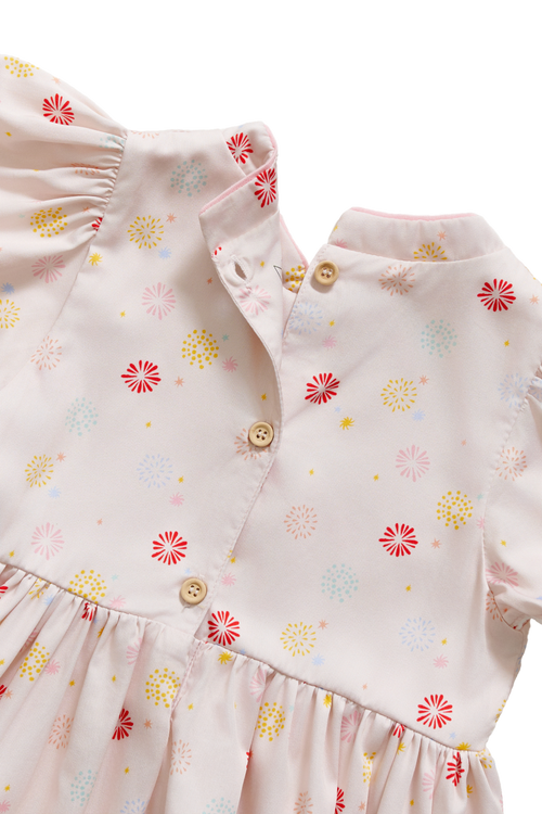 Flowerworks Dress