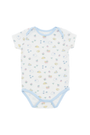 Picnic Bodysuit - 3 Pack