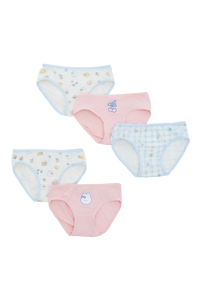Picnic Brief - 5 Pack