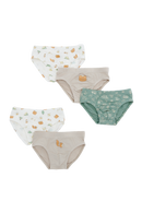 Little Camper Briefs - 5 Pack