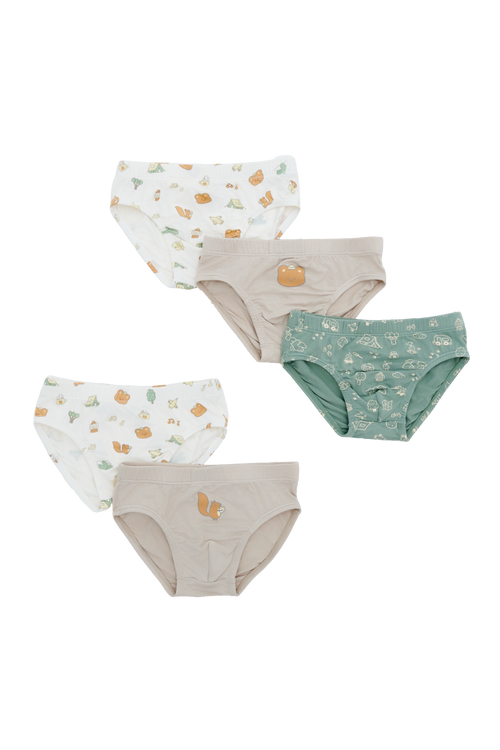 Little Camper Briefs - 5 Pack