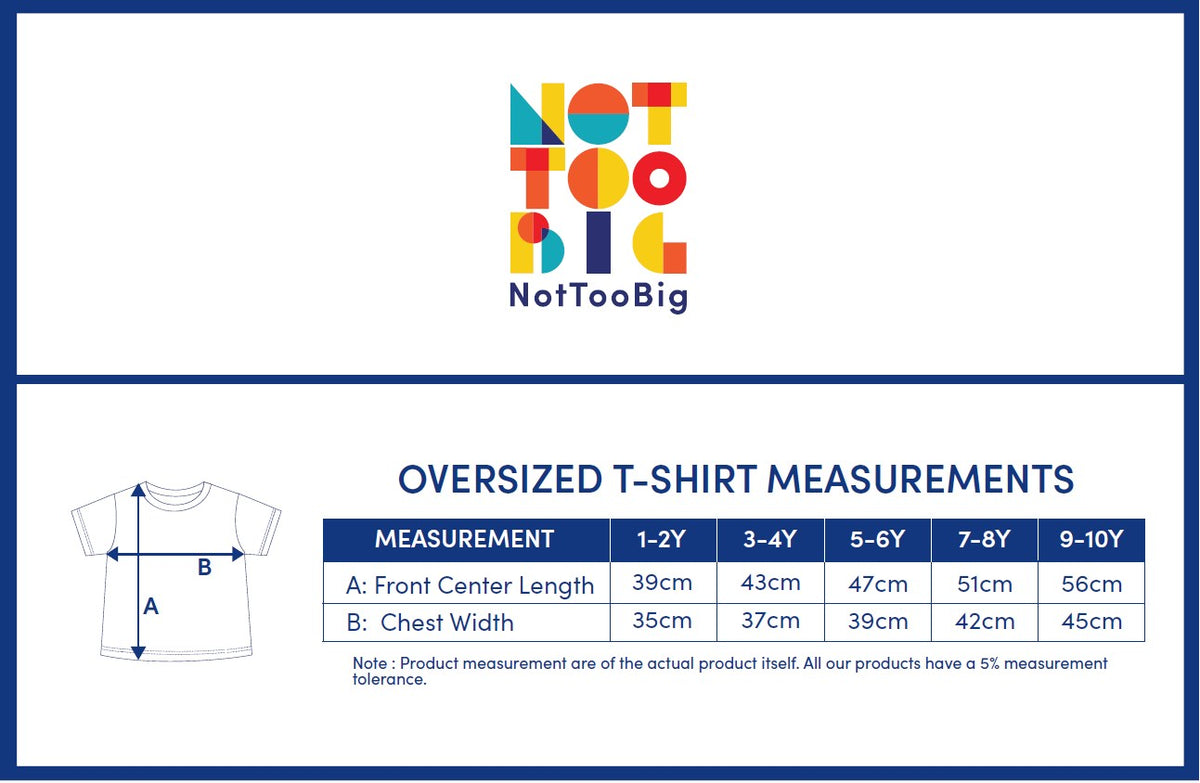 Not Too Big Birds Oversized Tee - Playground