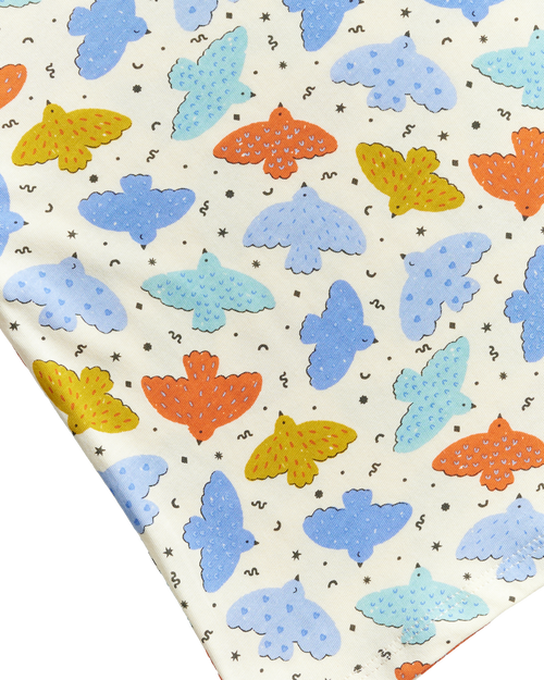 Birds Oversized Tee - Playground