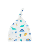 Dino Gifting Set - 6 pc