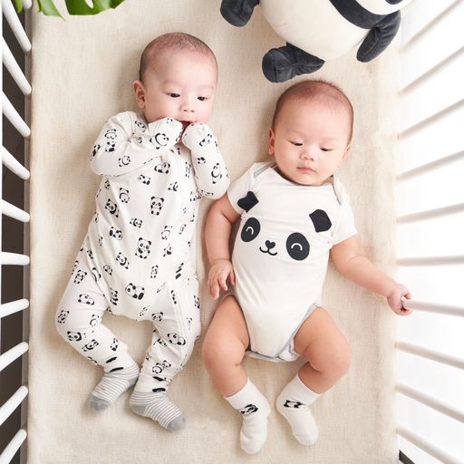 Not Too Big Panda Gifting Set -6 pc