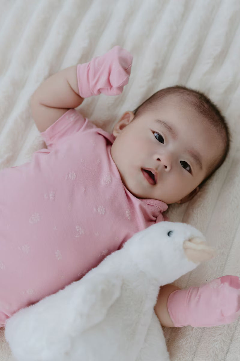 Not Too Big Duckie Bodysuit - 3 Pack
