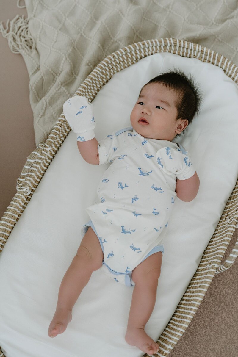 Not Too Big Whaley Bodysuit - 3 Pack