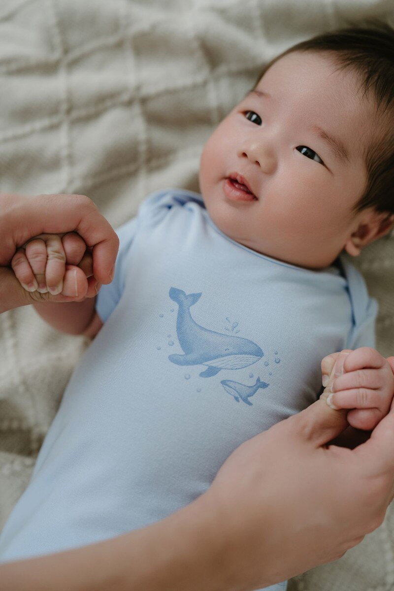 Not Too Big Whaley Bodysuit - 3 Pack