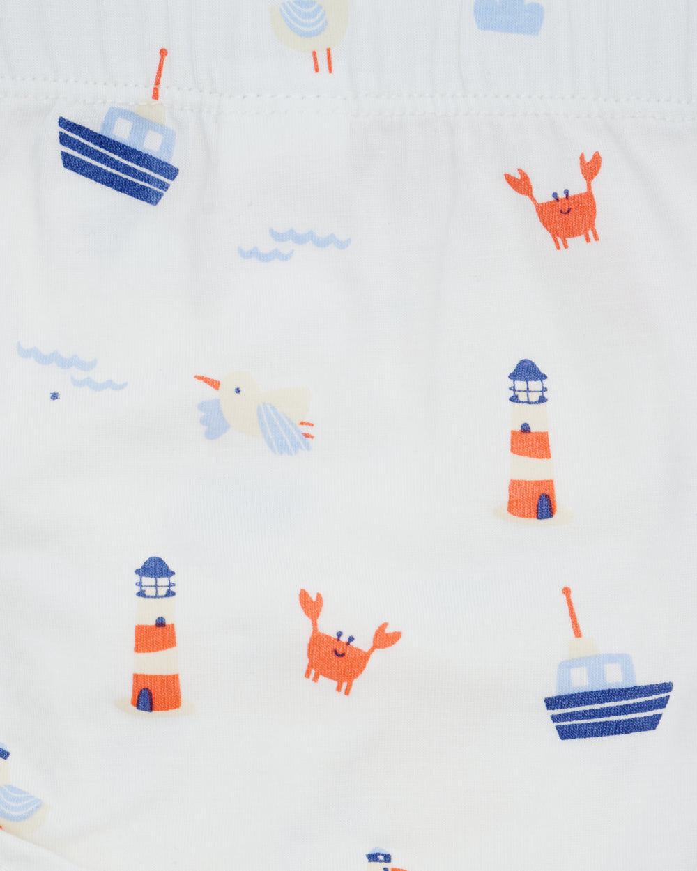 Not Too Big Captain Brief - 5 Pack