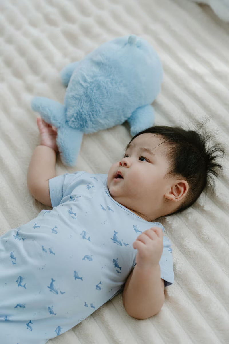 Not Too Big Whaley Romper - 2 Pack
