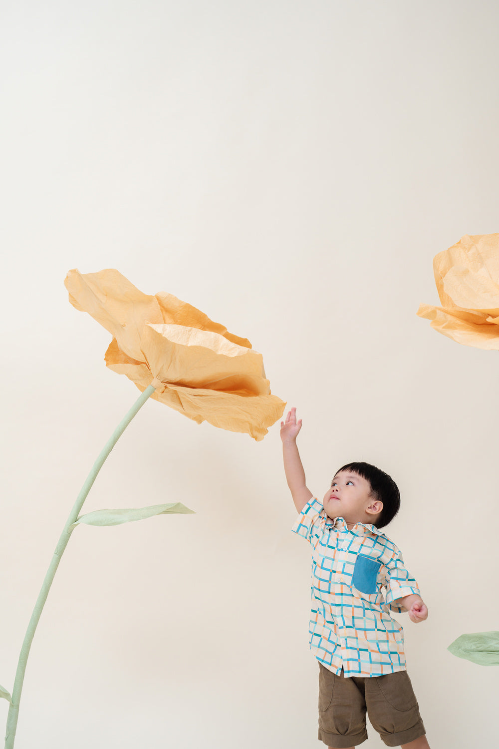 Not Too Big Checks Shirt