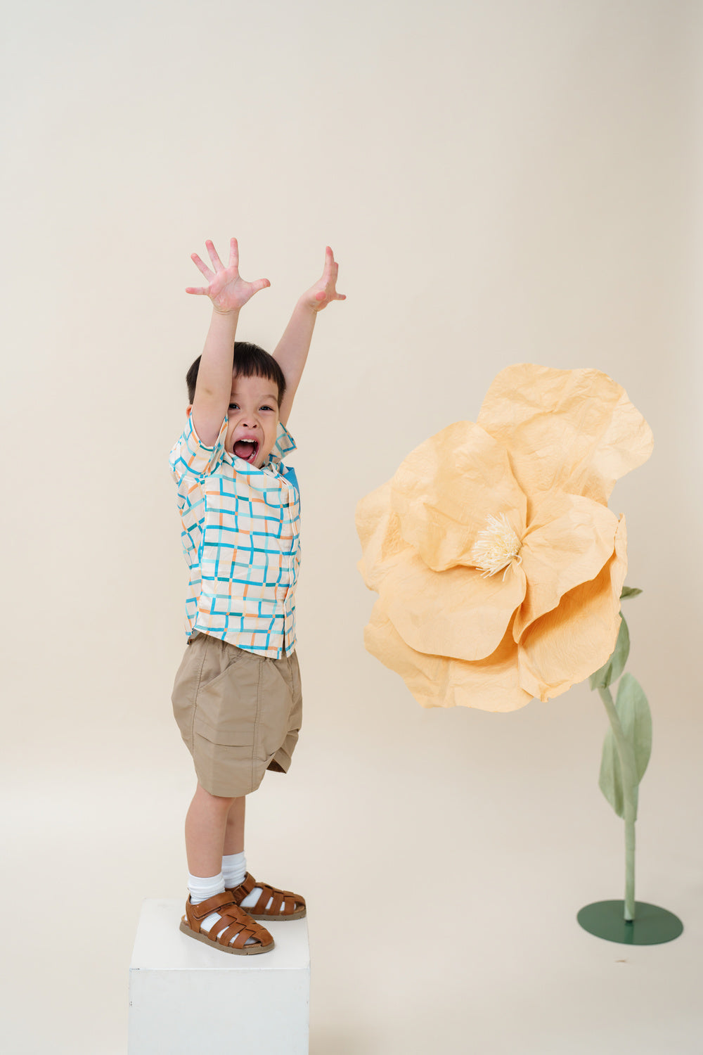 Not Too Big Checks Shirt