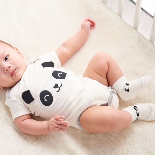 Not Too Big Panda Gifting Set -6 pc