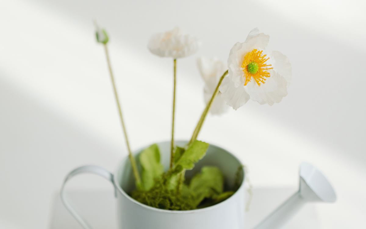 ntb_silky_soft_bamboo_banner_desktop.png