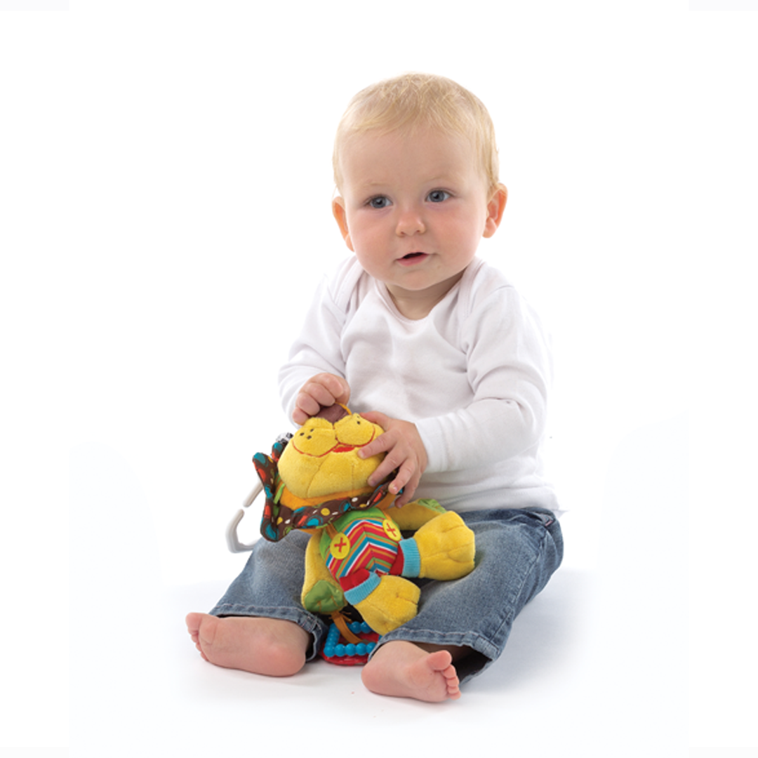 Playgro Roary Lion Baby Toys for age 0 and above Shop Baby