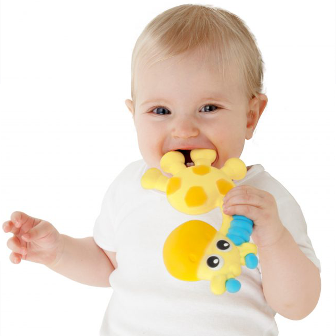 Baby teether clearance online shopping